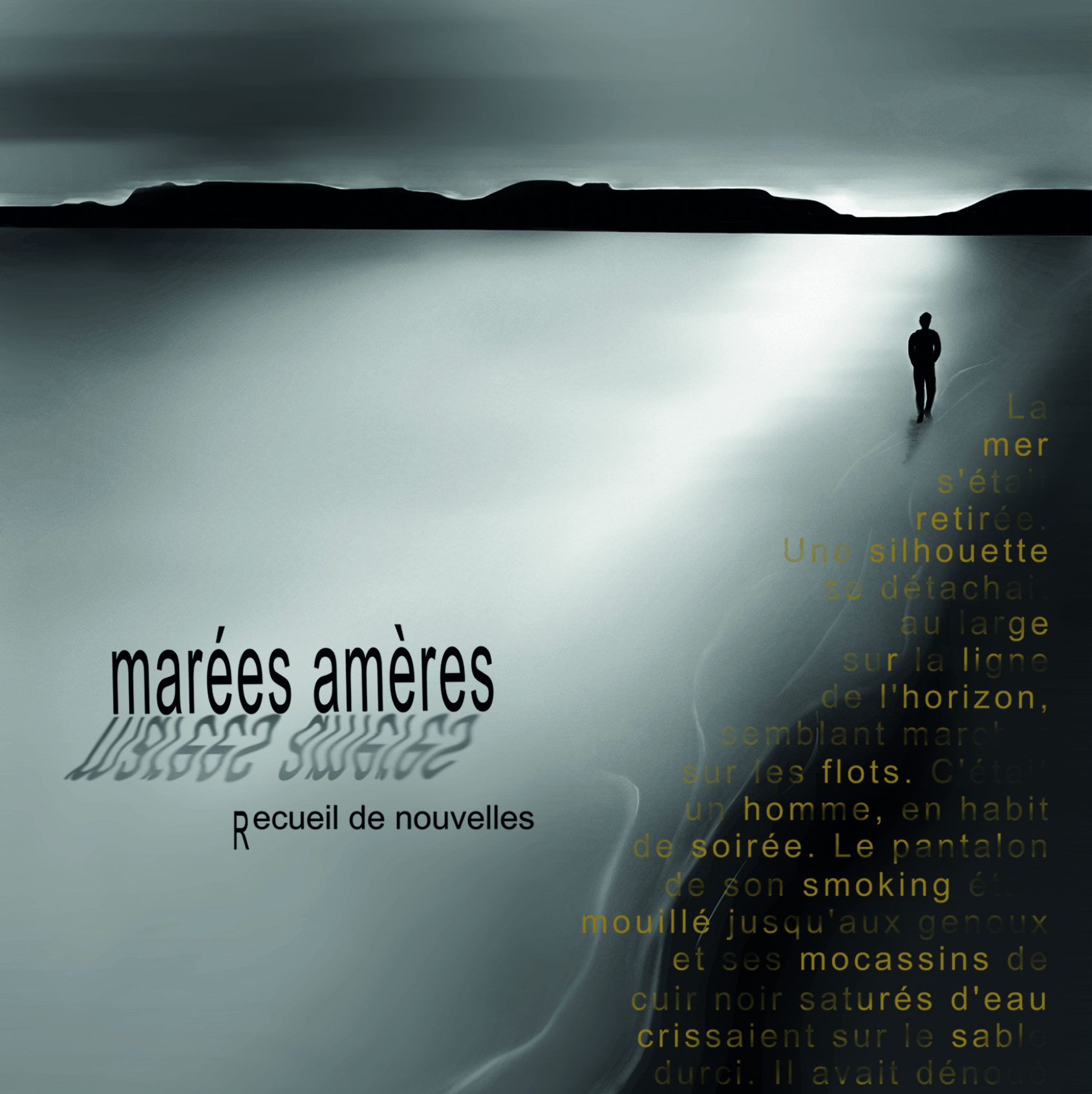 couverture du recueil de nouvelles marées amères